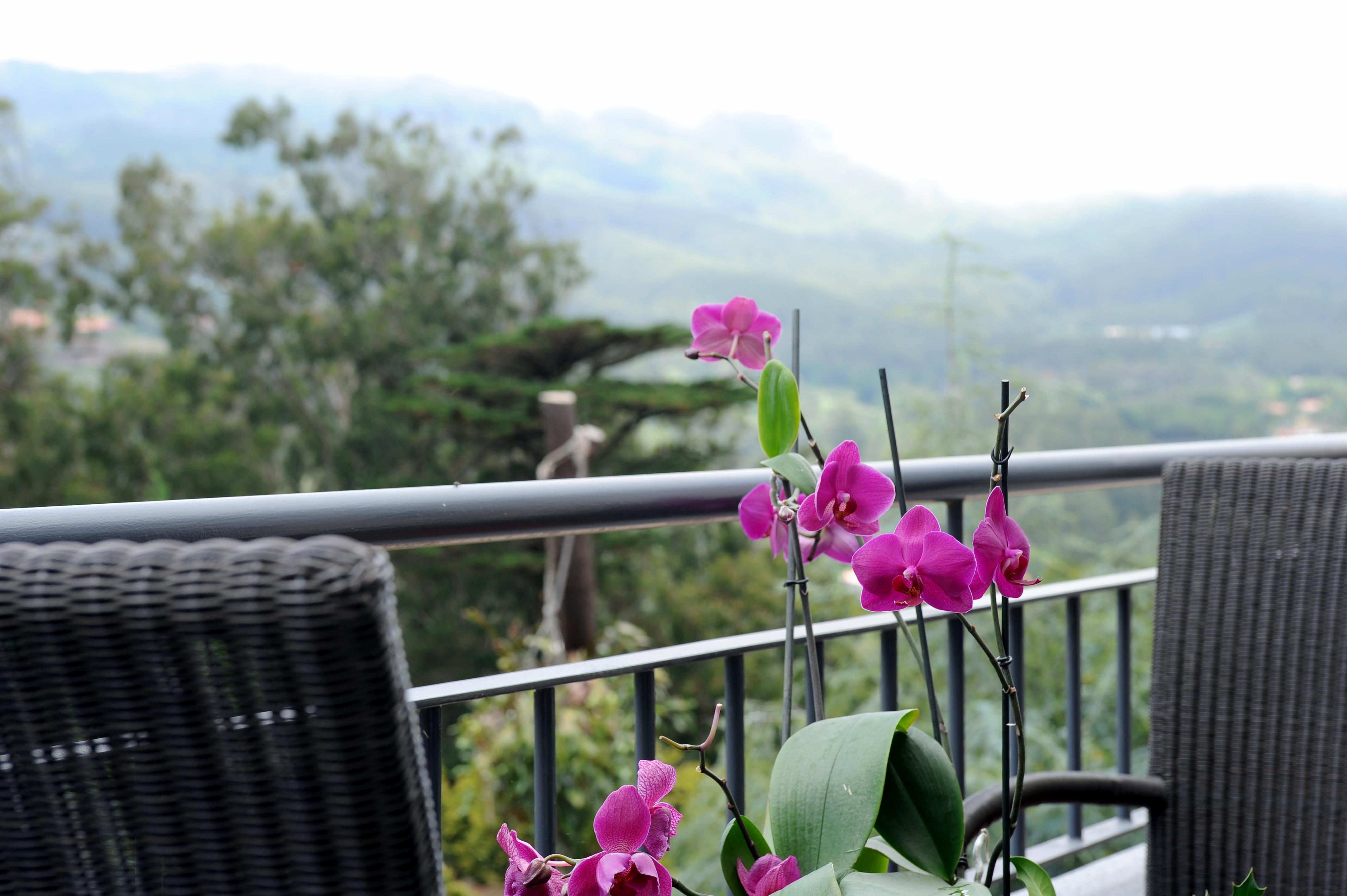 Quinta Da Cova Do Milho Hotell Santo Antonio da Serra Eksteriør bilde