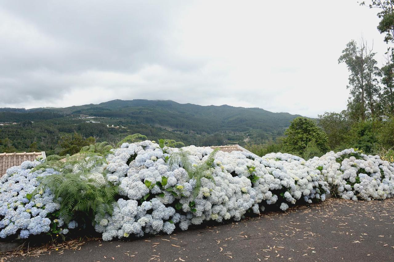 Quinta Da Cova Do Milho Hotell Santo Antonio da Serra Eksteriør bilde